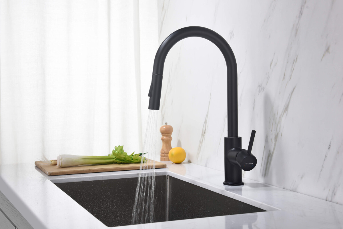 Aquatek Европа Смеситель для кухни 2 jet с вытяжным изливом AQ1384MB
