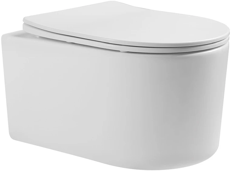 Инсталляция Geberit Duofix Delta 458.149.21.1 с клавишей и унитазом Aquatek AQ2004-00