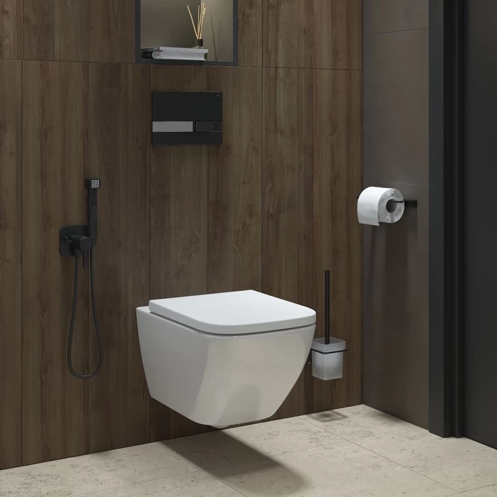 Iddis Torr унитаз подвесной безободковый TORRDSEi25