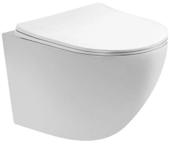 Инсталляция Geberit Duofix Delta 458.149.21.1 с клавишей и унитазом Aquatek AQ1900-00