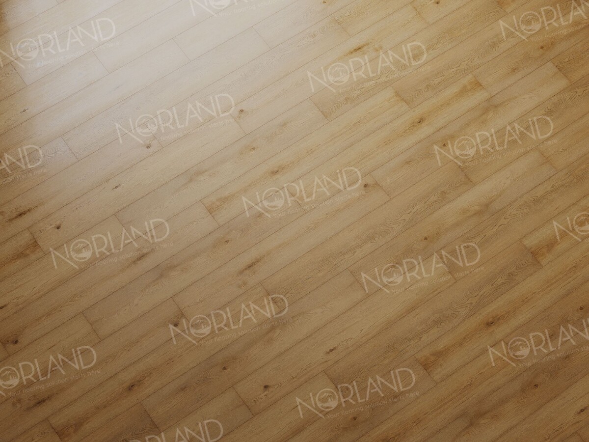 Alpine Floor Norland Sigrid SPC ламинат Blake 1001-2 1220х183х3.5mm