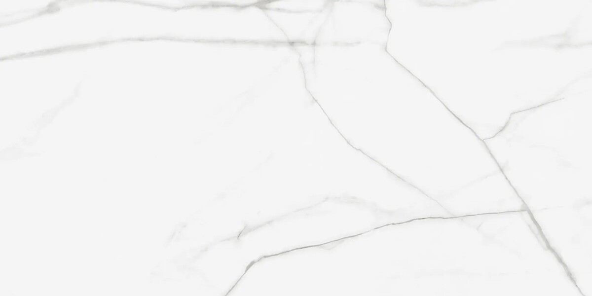 Керамогранит Artkera Group GP60120PUR00M Pure Marble матовый 600 x 1200 x 10 мм.