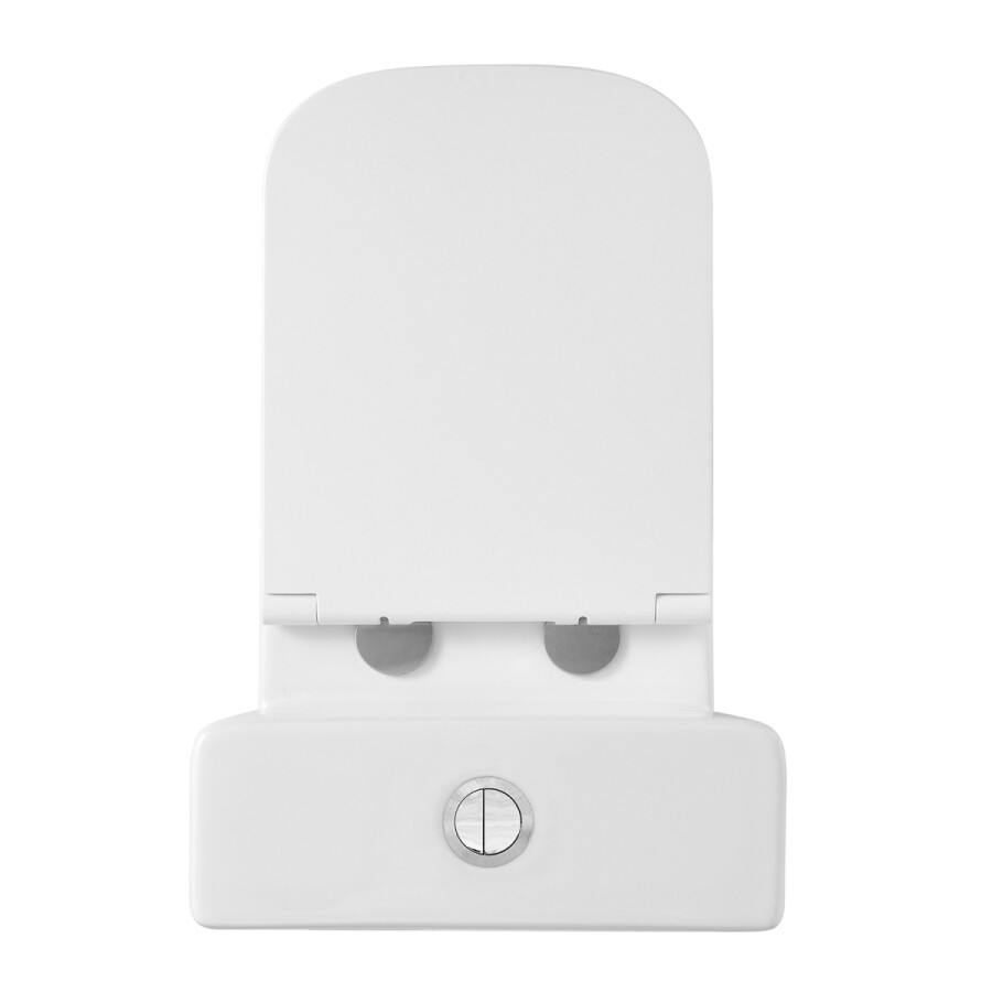 Унитаз-компакт Azario Terra 610х365х835 напольный, безободковый, система смыва "Скрытое торнадо", в комплекте с быстросъемным сиденьем микролифт AZ-6003-A