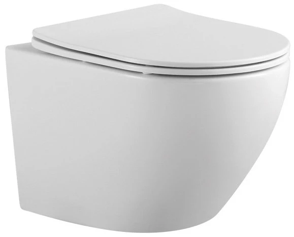 Инсталляция Geberit Duofix Delta 458.149.21.1 с клавишей и унитазом Aquatek AQ1901-00