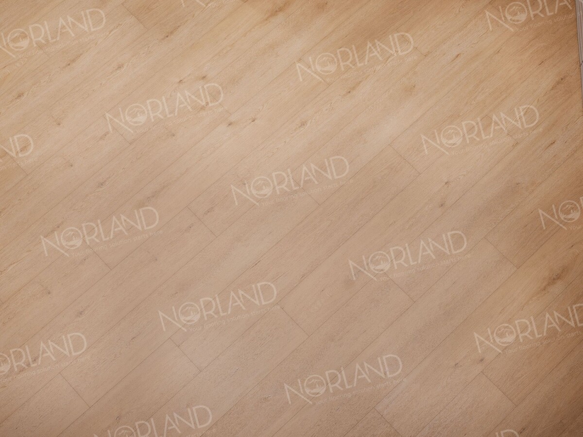 Alpine Floor Norland Sigrid SPC ламинат Dor 1001-3 1220х183х3.5mm