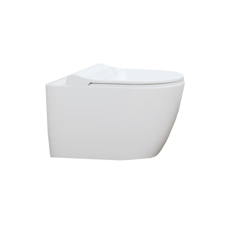 Turavit Rondo RND5512+0411/(0421)/2403 унитаз подвесной безободковый с сиденьем