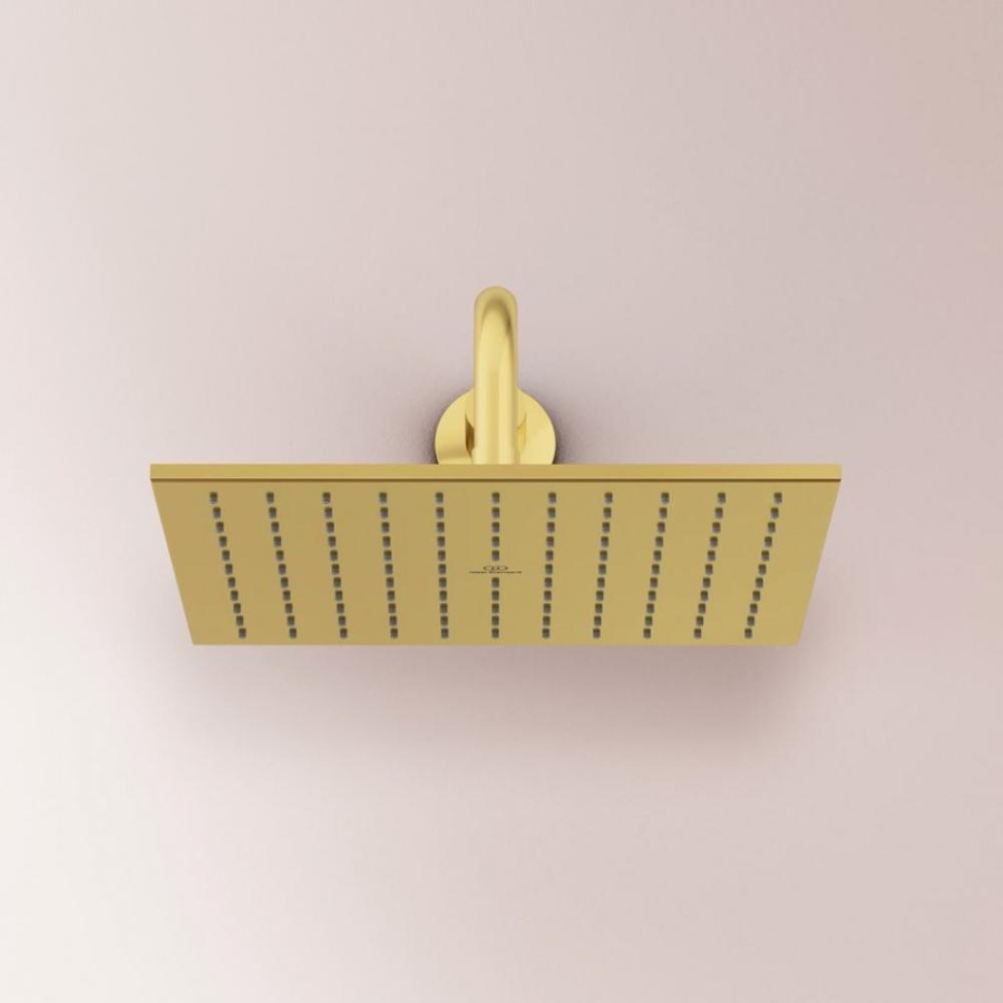 Ideal Standard душевая лейка A5805A2