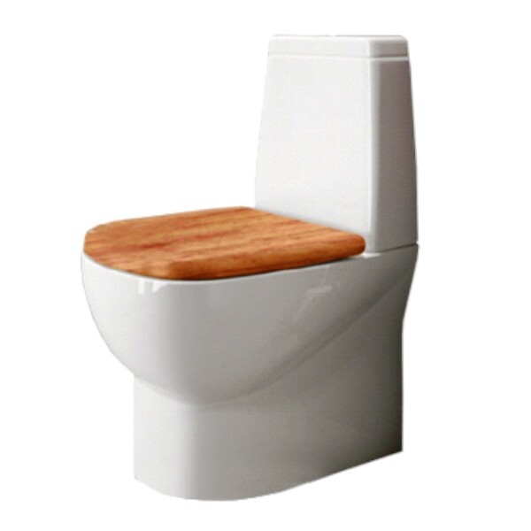 Sanita Luxe Infinity SL901401 унитаз напольный