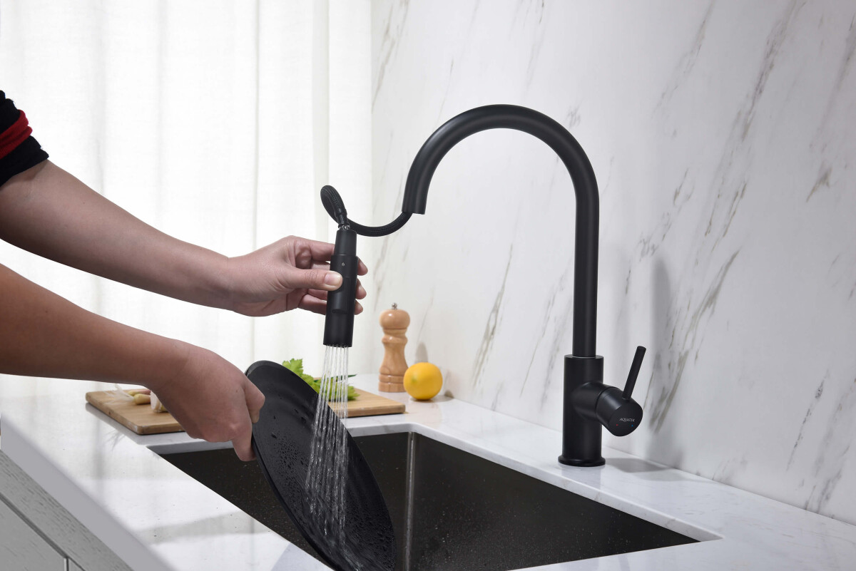 Aquatek Европа Смеситель для кухни 2 jet с вытяжным изливом AQ1384MB
