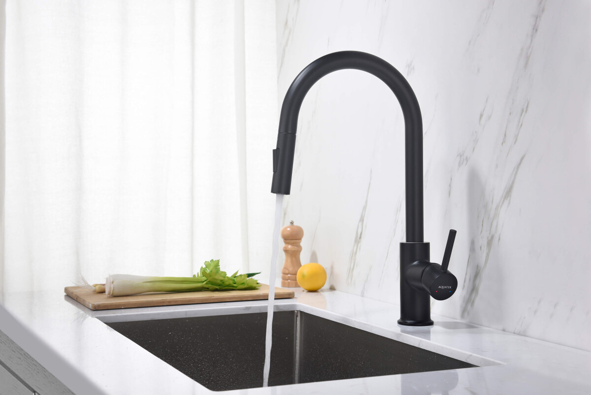 Aquatek Европа Смеситель для кухни 2 jet с вытяжным изливом AQ1384MB