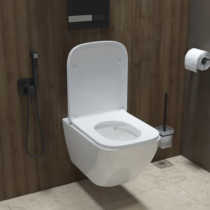 Iddis Torr унитаз подвесной безободковый TORRDSEi25