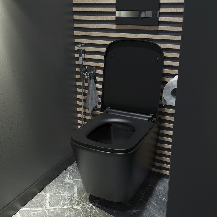 Iddis Bild унитаз подвесной безободковый BILR2BMi25
