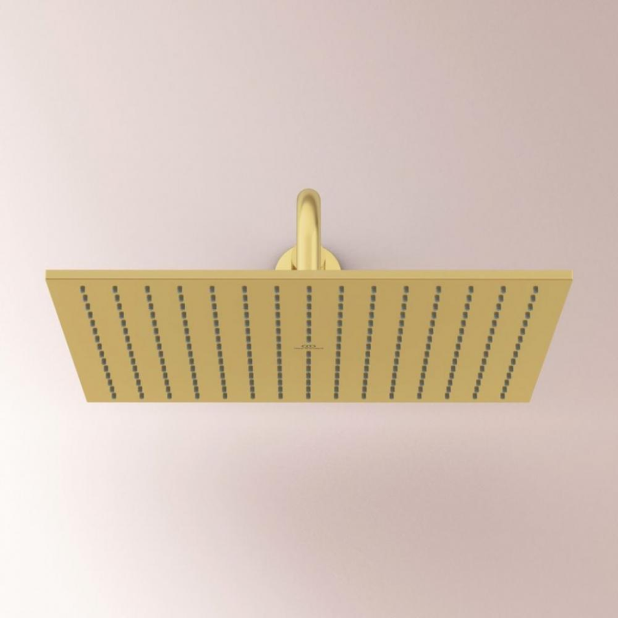 Ideal Standard душевая лейка A5806A2