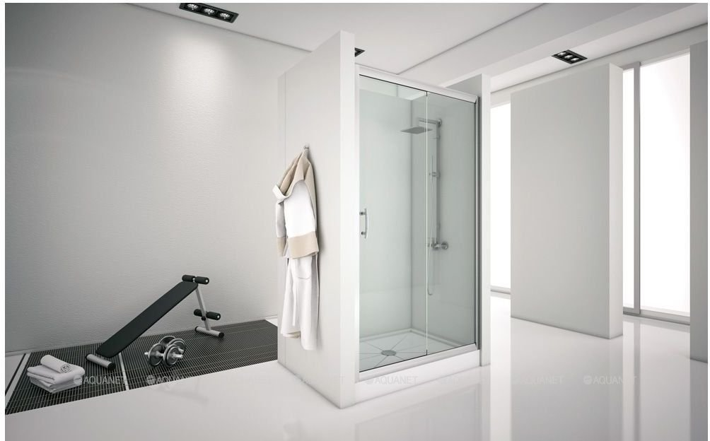 Aquanet Alfa NAA6121 душевая дверь 160х200 см 00273611