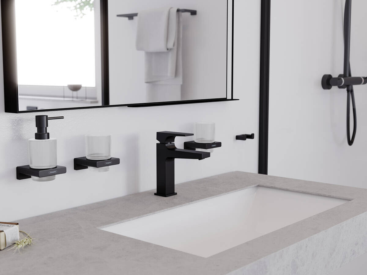 Hansgrohe AddStoris Двойной крючок для полотенец белый матовый 41755700