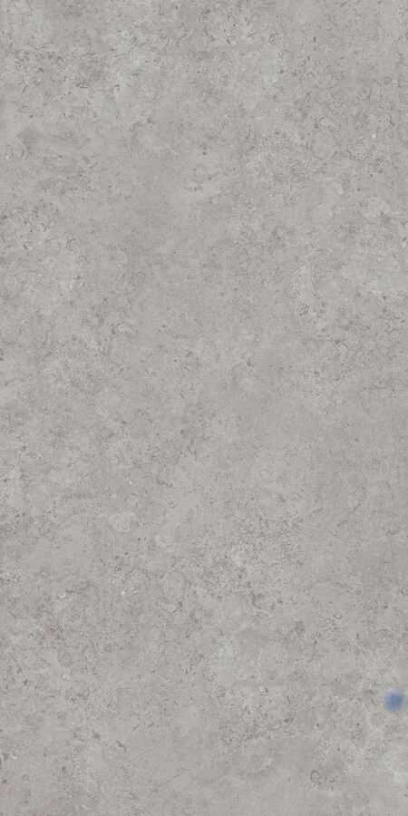Kerama Marazzi DD590600R Про Лаймстоун АТ серый натуральный обрезной 119,5х238,5 керамогранит