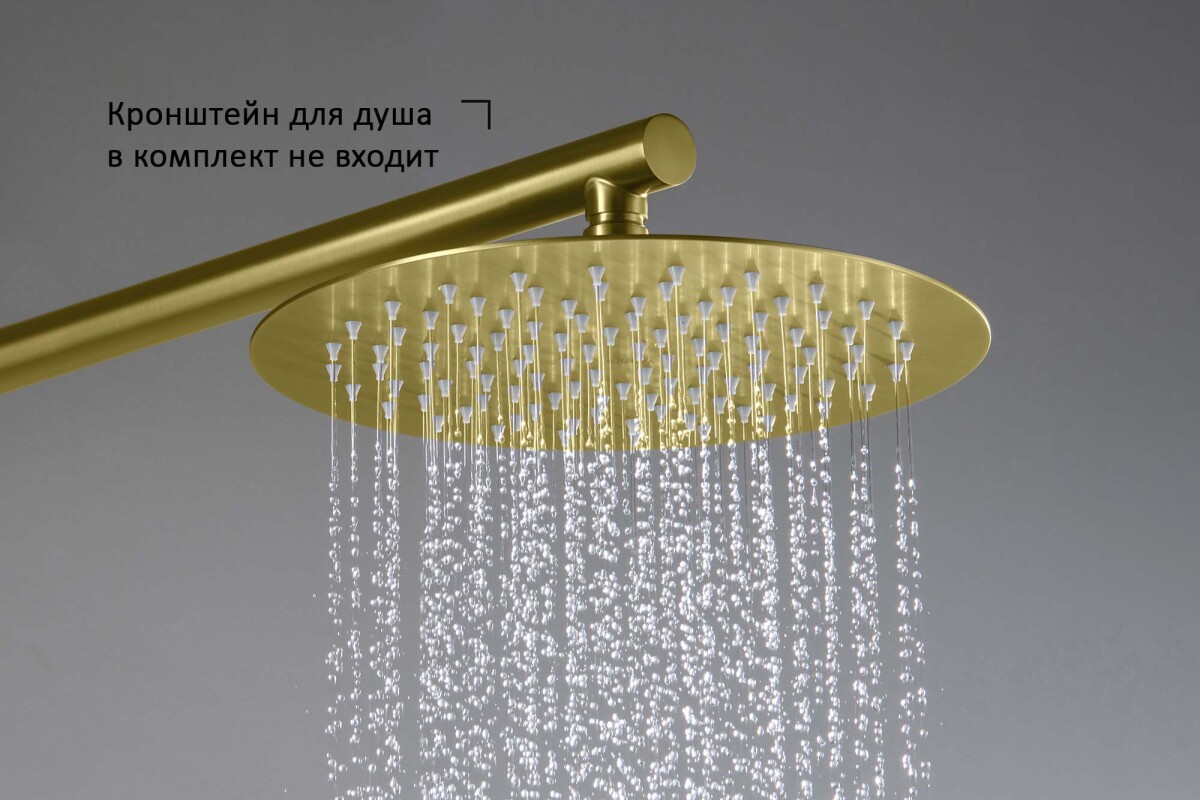 Aquatek AQ2073BG Круглый верхний душ 250*2 мм Золото шлифованное