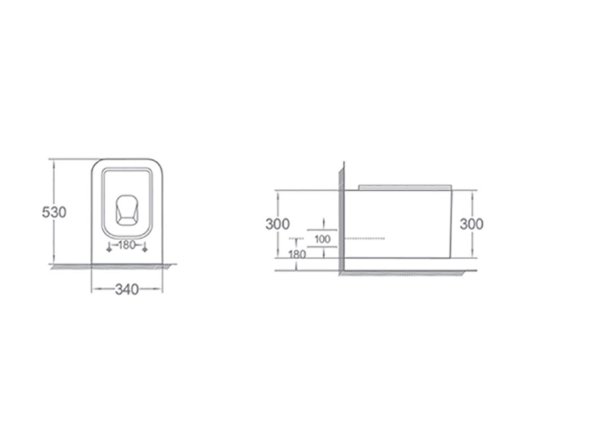 Унитаз подвесной с функцией биде Boheme Mane Белый матовый c крышкой 970-SET-2-MW