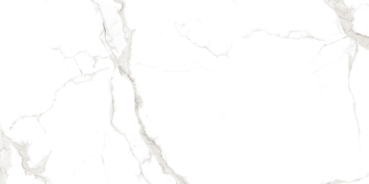 Керамогранит Azario Martin Grey 60x120 Glossy F4110821124G