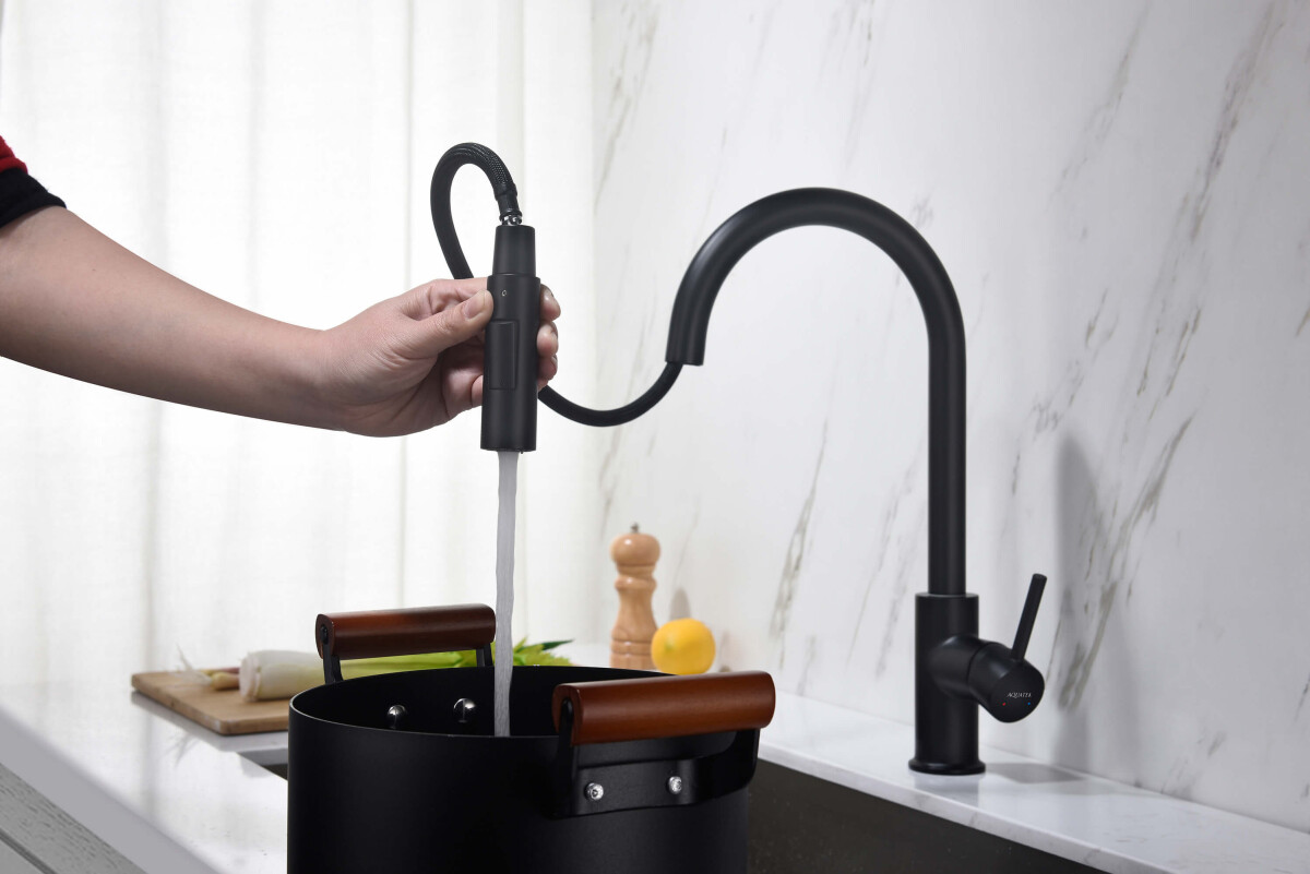 Aquatek Европа Смеситель для кухни 2 jet с вытяжным изливом AQ1384MB
