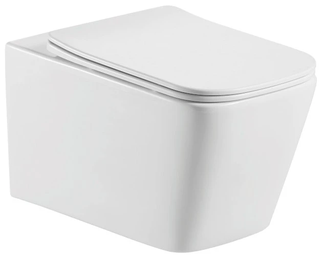 Инсталляция Geberit Duofix Delta 458.149.21.1 с клавишей и унитазом Aquatek AQ0530-00