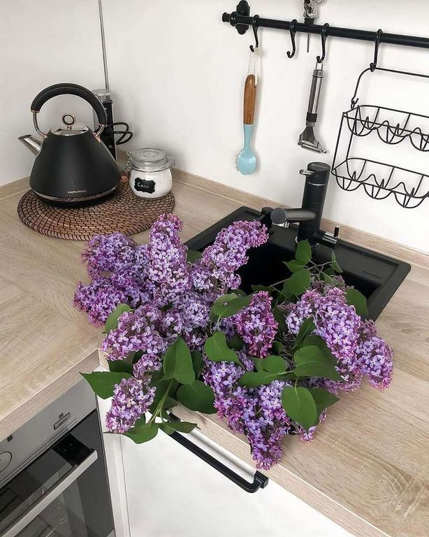 Omoikiri Tonami смеситель для кухни черный 4994058