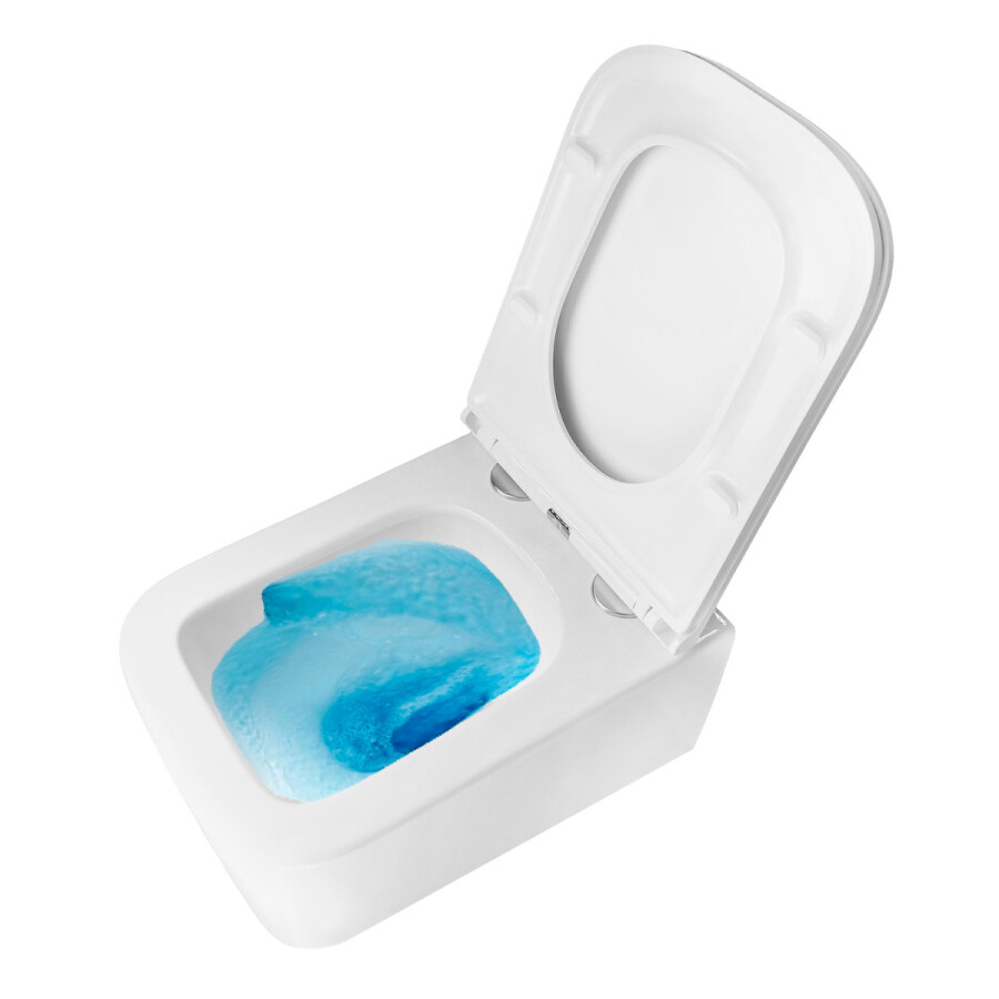 Унитаз подвесной Azario Bacio340х485х350 безободковый, система смыва "Скрытое Торнадо", с быстросъемным сиденьем "Микролифт" AZ-5103T-WHT