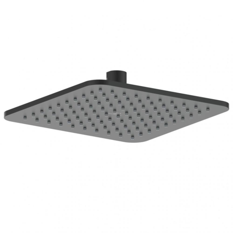 Ideal Standard душевая лейка B0024XG