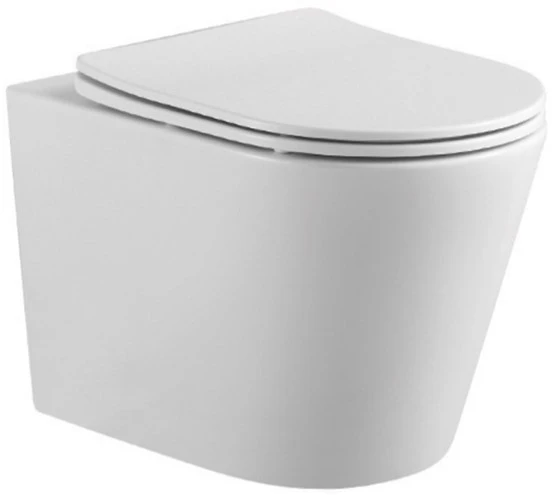 Инсталляция Geberit Duofix Delta 458.149.21.1 с клавишей и унитазом Aquatek AQ1904-00