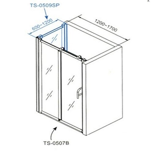 Appollo TS-0507P Душевые двери 120*200