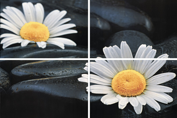 Газкерамика Альба Spa 40х60 см панно из 4 шт глянцевое