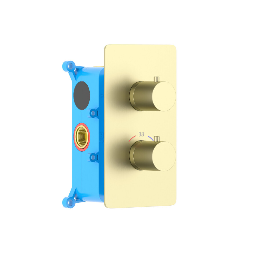 Aquatek Европа AQ1391BG Термостатический смеситель для душа (внешняя и скрытая часть) Золото шлифованное