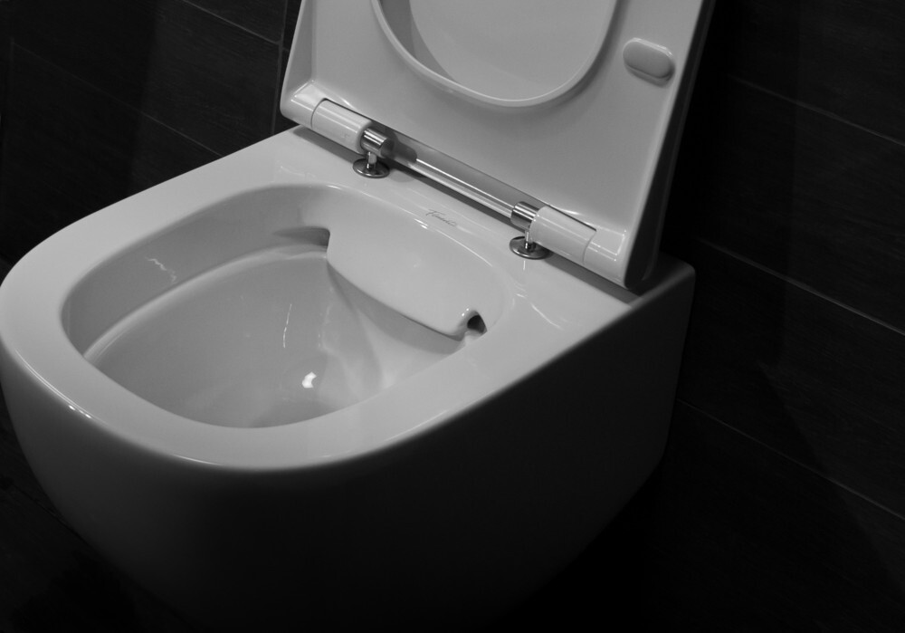 Pestan Fluenta Rimless 40006661 унитаз подвесной