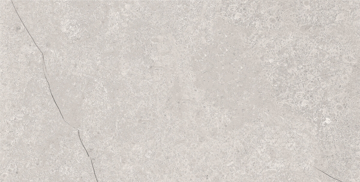 Azario Fossil Grey керамогранит 60x120 E4040821120M