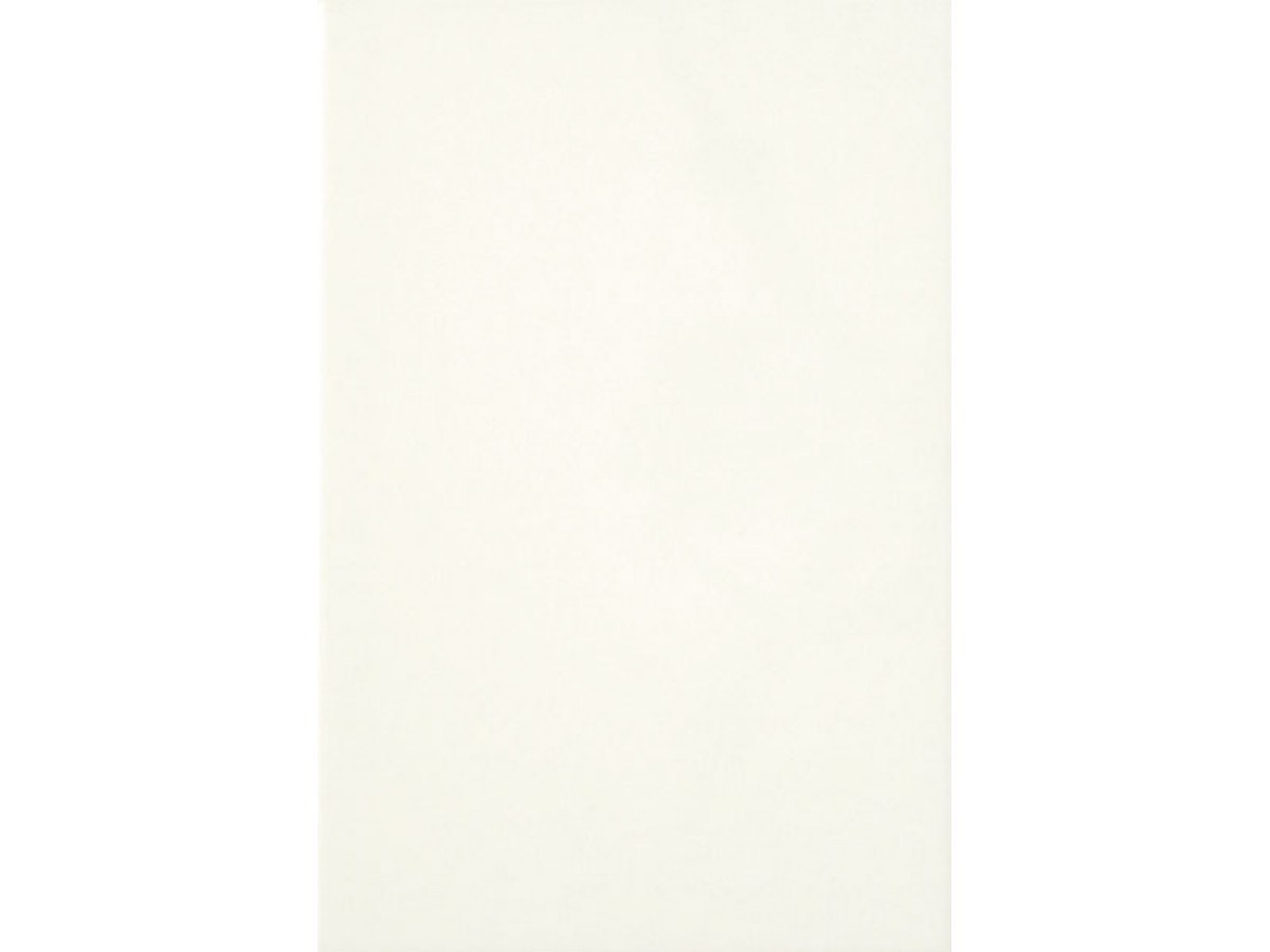 ВКЗ плитка облицовочная белая 30x60 см 