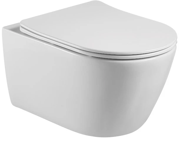 Aquatek Бетта унитаз подвесной с сиденьем AQ1253W-00