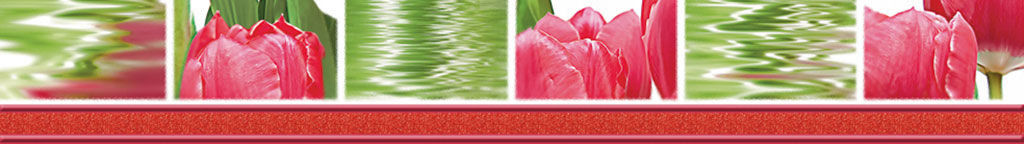 Нефрит Фреш 7х50 см бордюр настенный тюльпаны
