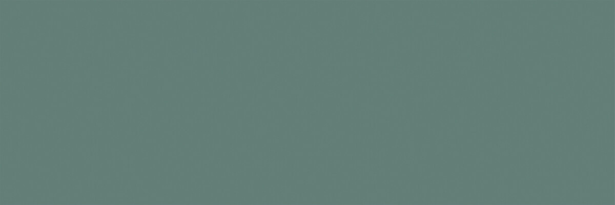Lasselsberger Роса Рок 20х60 зеленый 1064-0369-1001