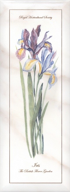 Kerama Marazzi Ноттингем 15х40 см декор настенный цветы глянцевый 2