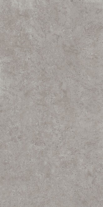Kerama Marazzi DD590600R Про Лаймстоун АТ серый натуральный обрезной 119,5х238,5 керамогранит