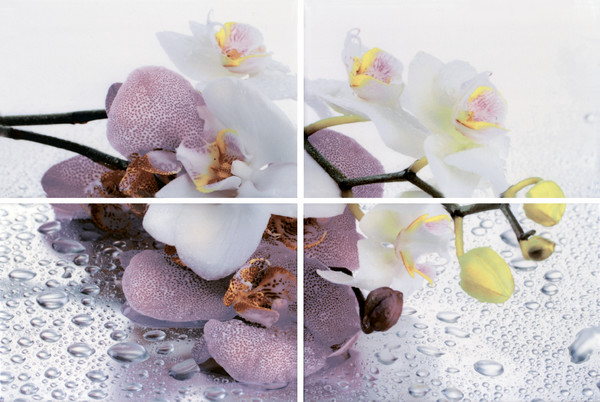 Газкерамика Альба Orchid 40х60 см панно из 4 шт глянцевое