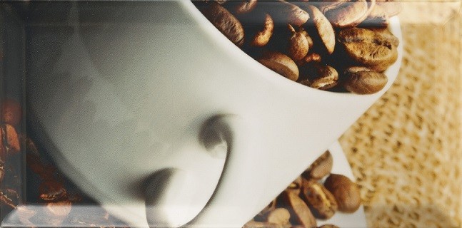 Декор настенный Paradyz Tamoe Inserto D 20x10 см