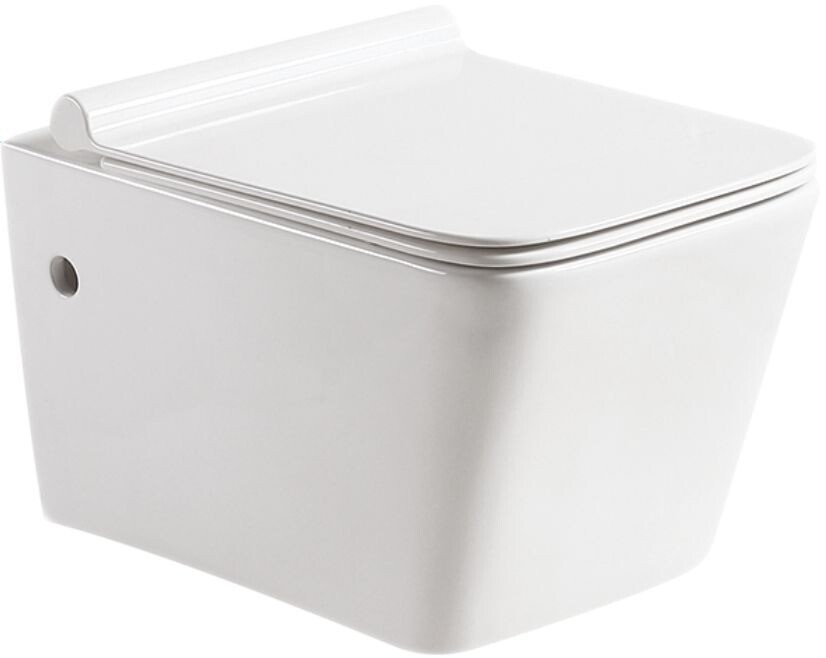 SantiLine SL-5004BD унитаз подвесной с функцией биде