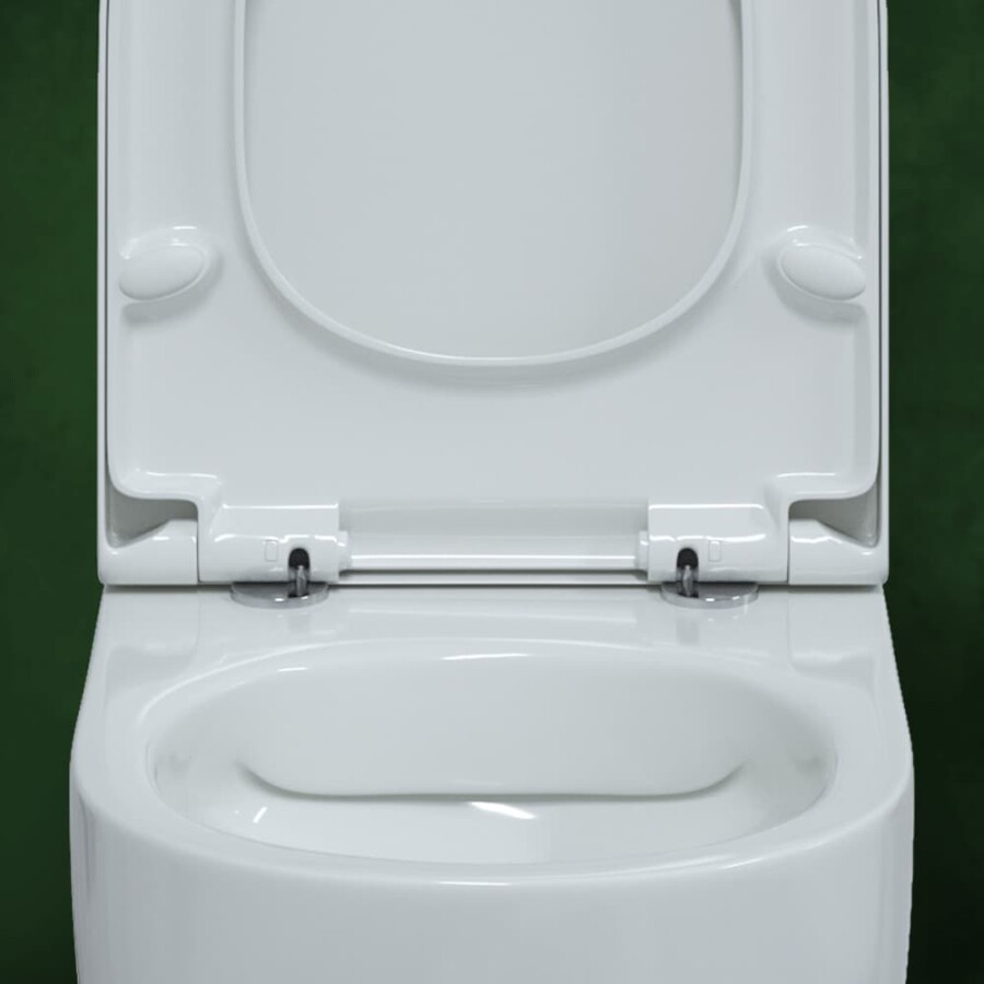 Berges Wasserhaus Ego Rimless 082122 унитаз подвесной