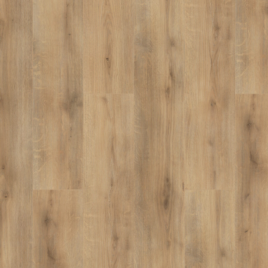 PROGRESSIVE HOUSE NICOLE 200x1220х4.4