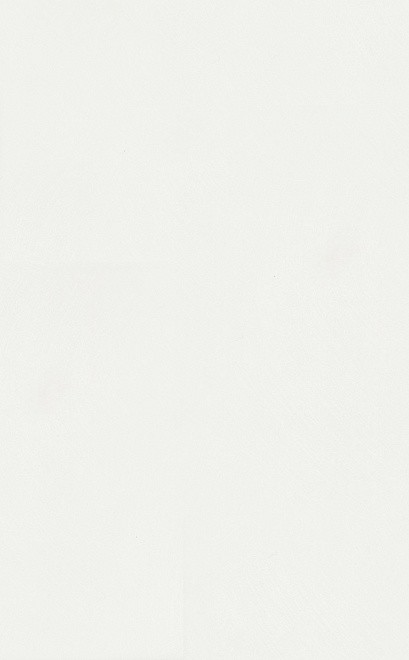 Kerama Marazzi Петергоф 6304 25х40 см плитка настеная белая матовая