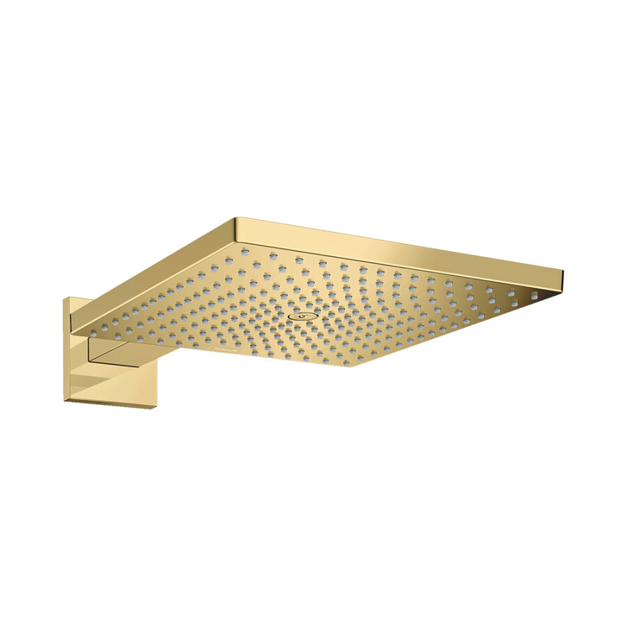 Hansgrohe Raindance E Верхний душ 300 1jet с держателем золото 26238990