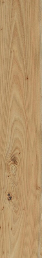 Italon Элемент Олмо керамогранит 20х120 610010001090