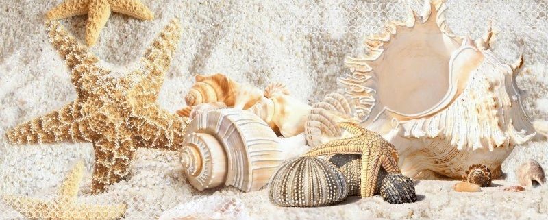 Azori caliza beige mare3 20х50см декор настенный бежевый глянцевый