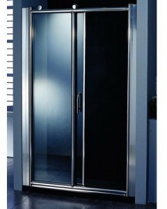 Appollo TS-0507P Душевые двери 120*200
